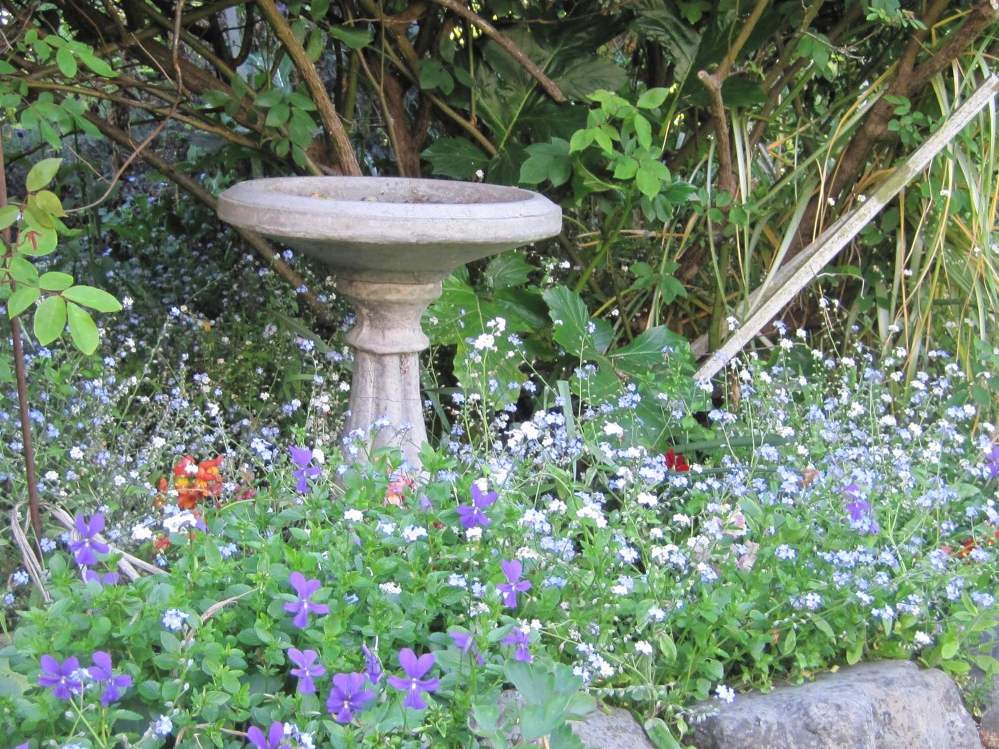 Brook House B&B & Cottages Kaikoura Kültér fotó